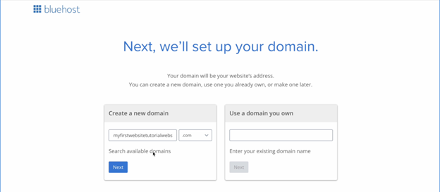 Bluehost Domain Setup