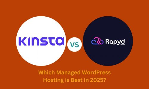 kinsta vs rapyd review