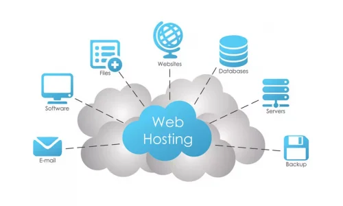 Website Hosting