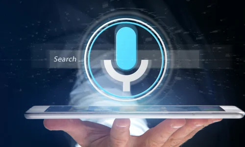 voice search optimization